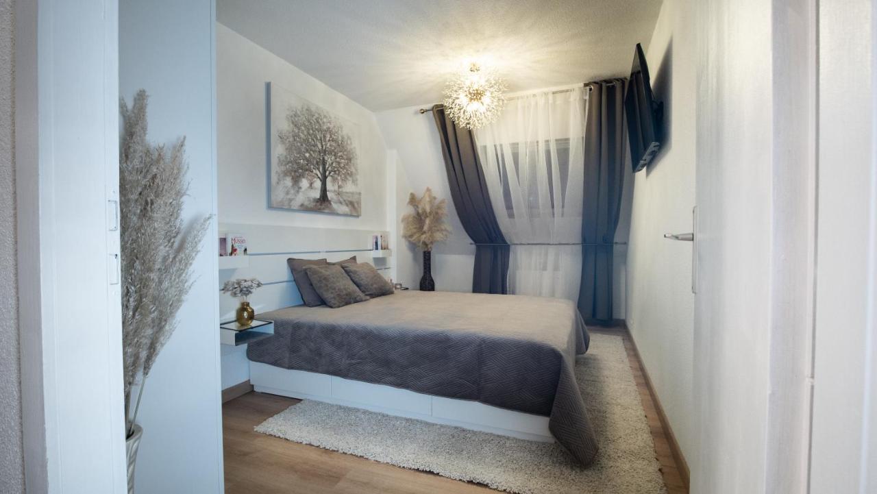 Superbe Appartement Au Coeur Du كولمار المظهر الخارجي الصورة