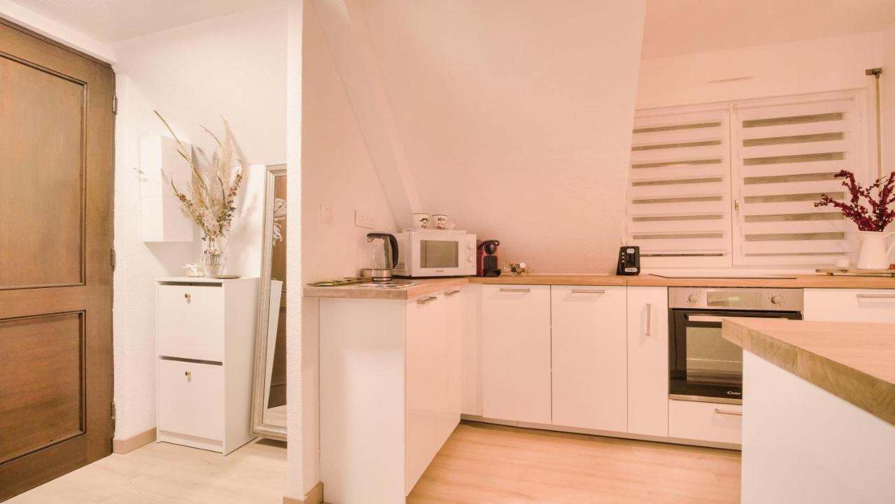 Superbe Appartement Au Coeur Du كولمار المظهر الخارجي الصورة